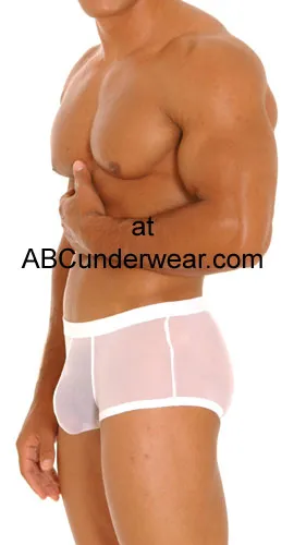 Greg Parry Sheer Eros Pouch Boxer Clearance